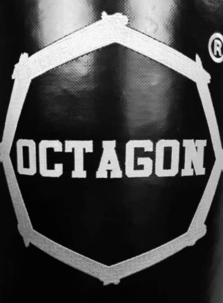 Boxovacie vrece - OCTAGON - 160x35cm - Reťaz