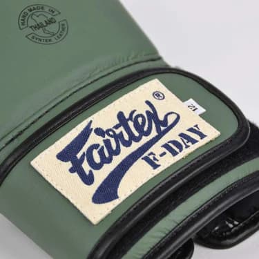 Boxerské rukavice - FAIRTEX - BGV11 - F-Day