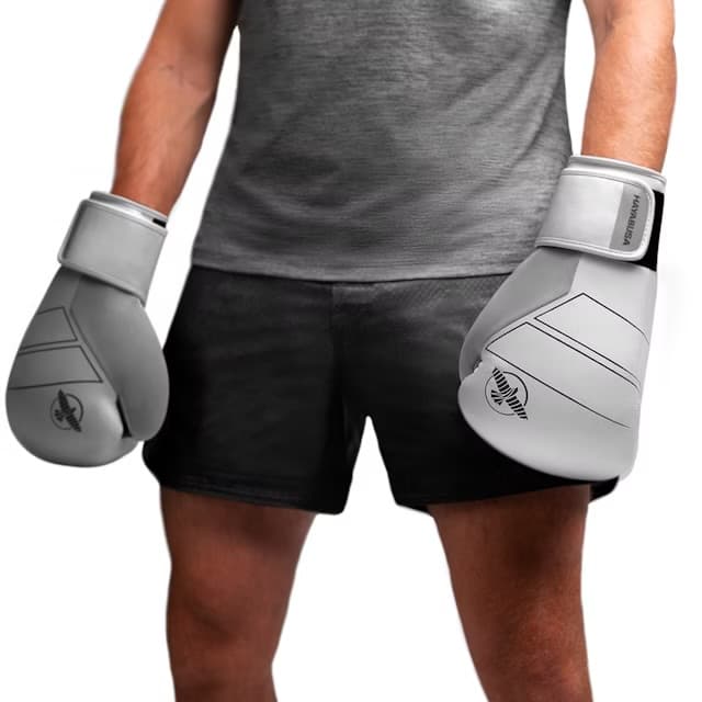 Boxerské rukavice - HAYABUSA - S4 - kože